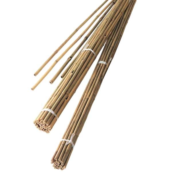 Grow It Bamboo Canes Pre-Bulk 1.8m10 pack