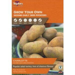 Taylors Bulbs Charlotte Potatoes 10pk- GB