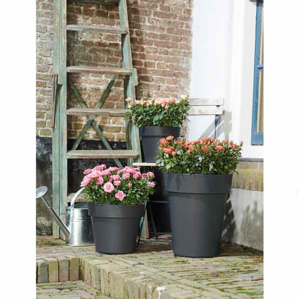 Elho Green Basics Top Planter High Living Black 35cm