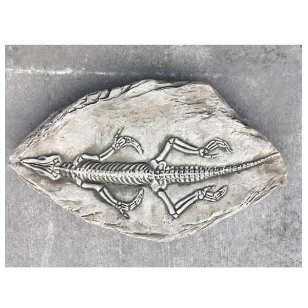 Fossilized Crocodile Stepping Stone 40cm