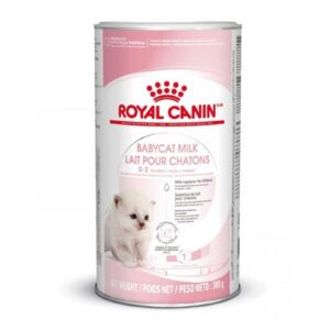 Royal Canin Babycat Milk 300g Cat Treat