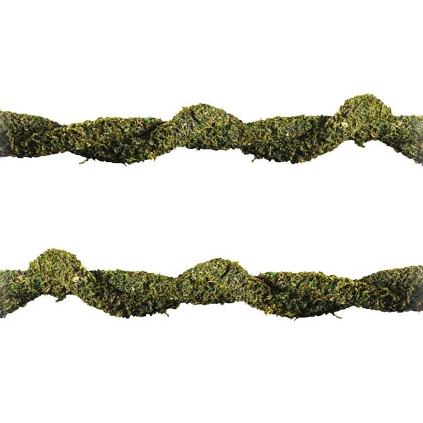 Exo Terra Bendable Moss Vine Large