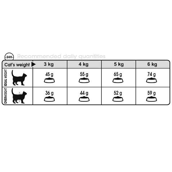 Royal Canin Urinary Care Adult 2kg Dry Cat Food