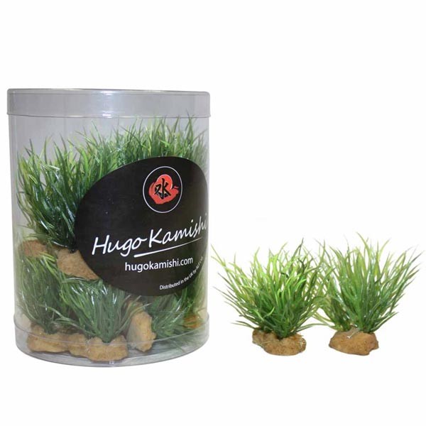 Hugo Kamishi Miniature Foreground 3 Aquascaping Aquarium Plants (20 Pack)