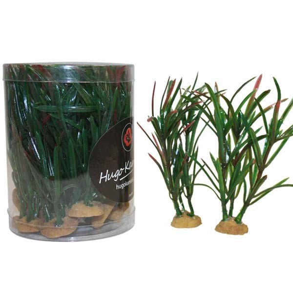 Hugo Kamishi Miniature Foreground 4 Aquascaping Aquarium Plants (15 Pack)