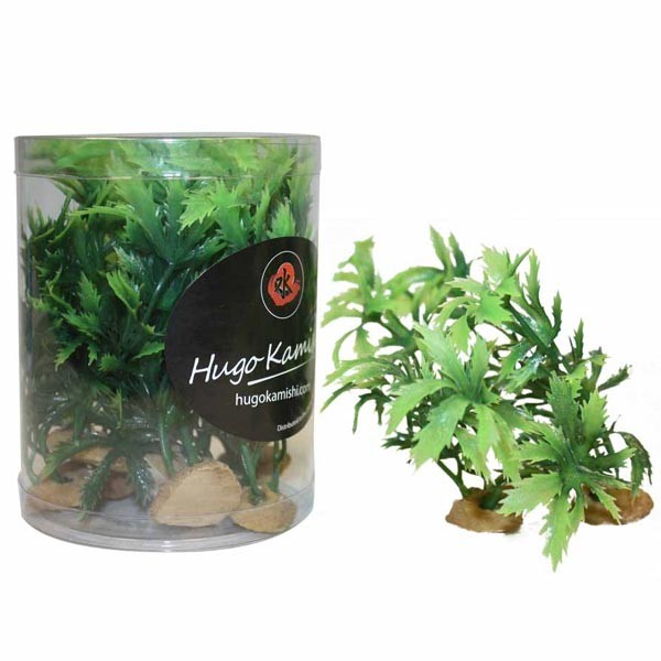 Hugo Kamishi Miniature Foreground 5 Aquascaping Aquarium Plants (10 Pack)