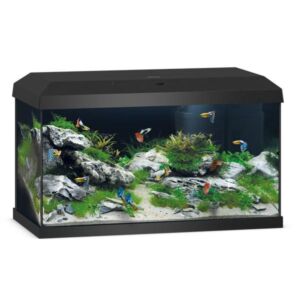 Juwel Primo Black 60 LED 2.0 Aquarium