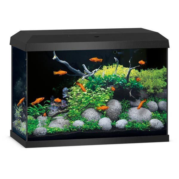 Juwel Primo Black 70 2.0 LED Aquarium