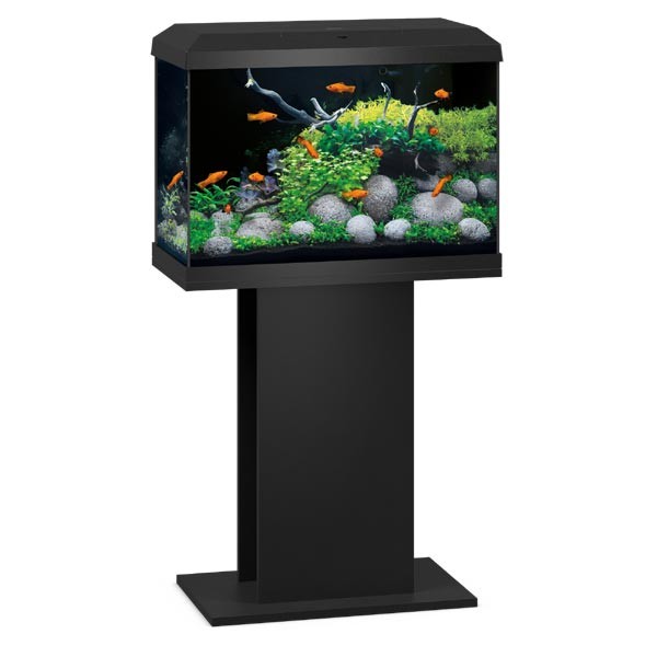 Juwel Primo Black 70 2.0 LED Aquarium