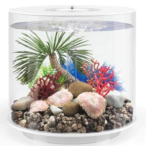 Biorb tube aquarium best sale