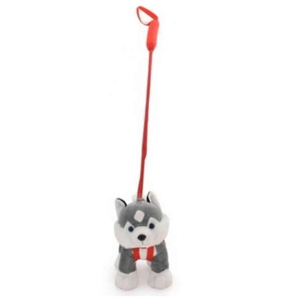 Plush Dog On Stiff Lead