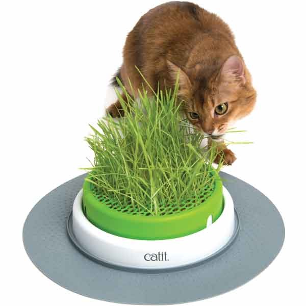 Catit Senses 2.0 Grass Planter Feeder/Cat Toy