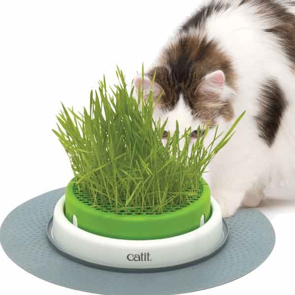 Catit Senses 2.0 Grass Planter Feeder/Cat Toy