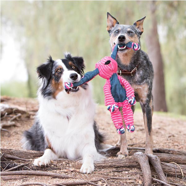 KONG Floppy Knots Hippo Medium/Large Dog Toy