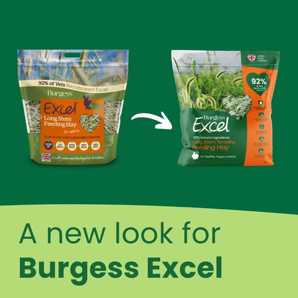 Burgess Excel Long Stem Feeding Hay 1kg