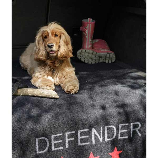 Pet Rebellion Defender Car Protecation 100x155cm