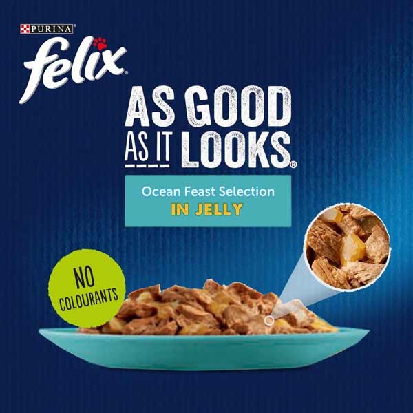 Felix As Good As It Looks Ocean Feast 40x100g Wet Cat Food