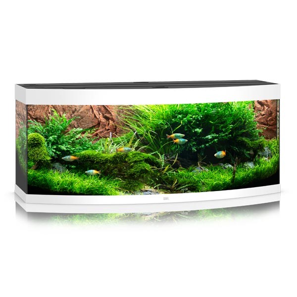 Juwel Vision 450 White LED Aquarium