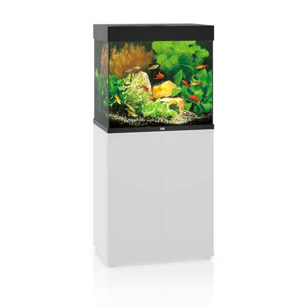 Juwel Lido 120 Black LED Aquarium