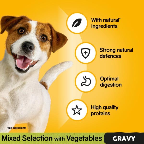 Pedigree Pouch Mixed Chunks in Gravy 40x100g Wet Dog Food