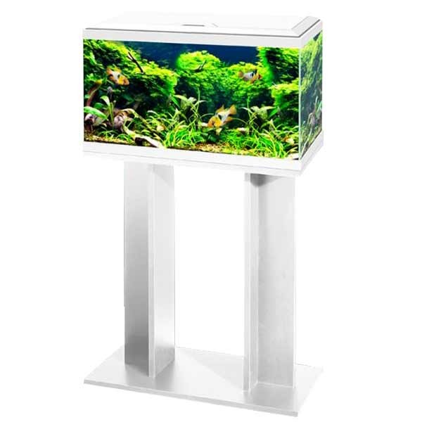 Ciano Aqua 60 Stand White