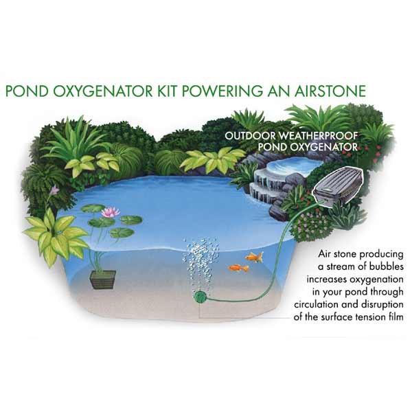 Blagdon Pond Oxygenator Kit Single Outlet