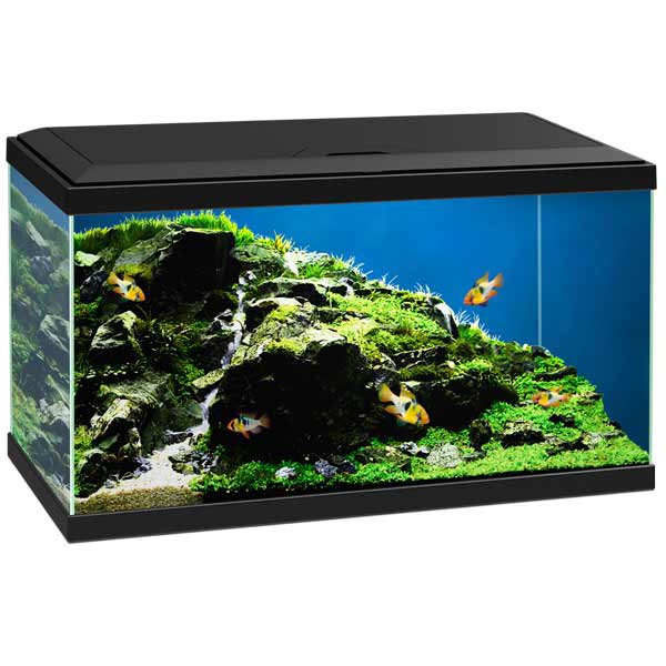 Ciano 60 Black Aquarium LED