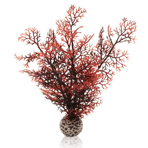 biOrb Sea Fan Crimson Small