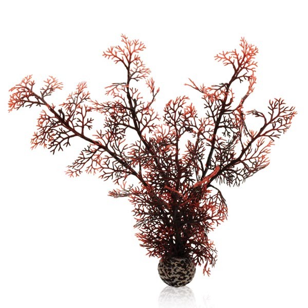 biOrb Sea Fan Crimson Medium