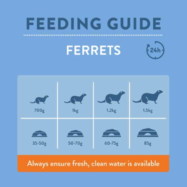 Burgess Excel Ferret Nuggets 2kg