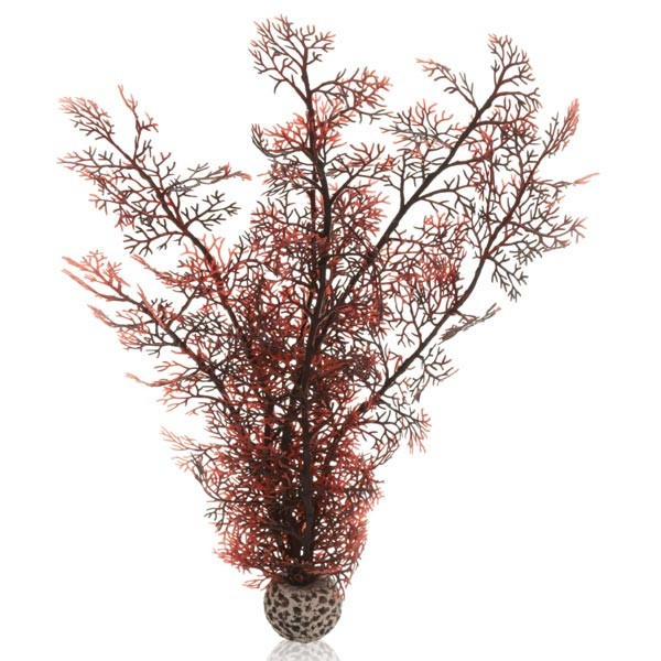 biOrb biOrb Sea Fan Crimson Large