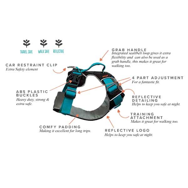 Sötnos Travel & Walking Harness Teal Extra-Small