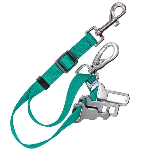 Sötnos Universal Seat Belt Restraint (with Isofix) Teal