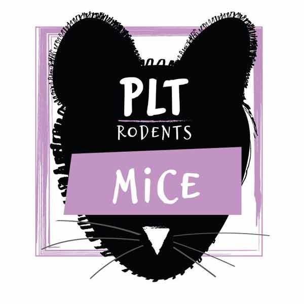 PLT Rodents Frozen Mice Large 26g+ 10 Pack