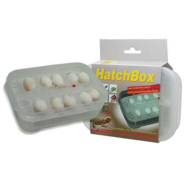 Lucky Reptile Hatchbox Incubation Tray HB-01