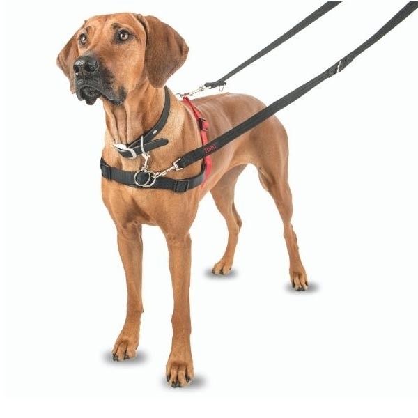 Company Of Animals Halti Front Control Harness Large