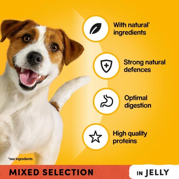 Pedigree Pouch Mixed Chunks in Jelly 40x100g Wet Dog Food