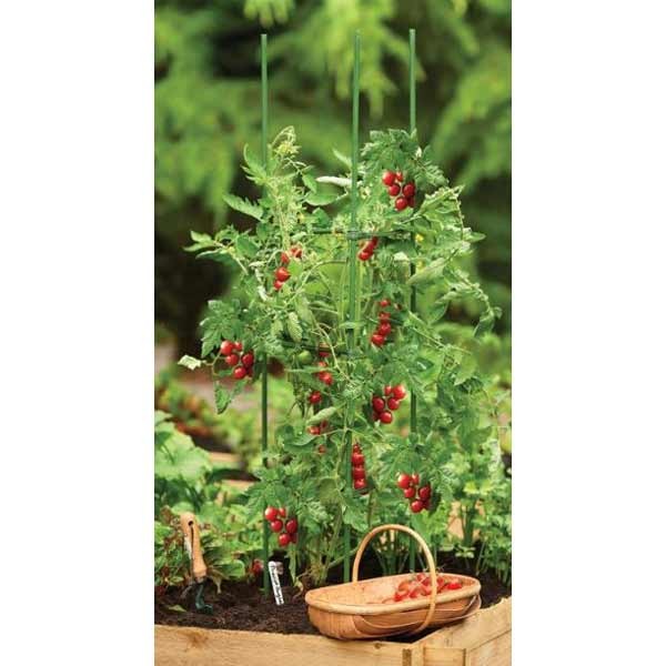 Gardman Tomato Cage Plant Support