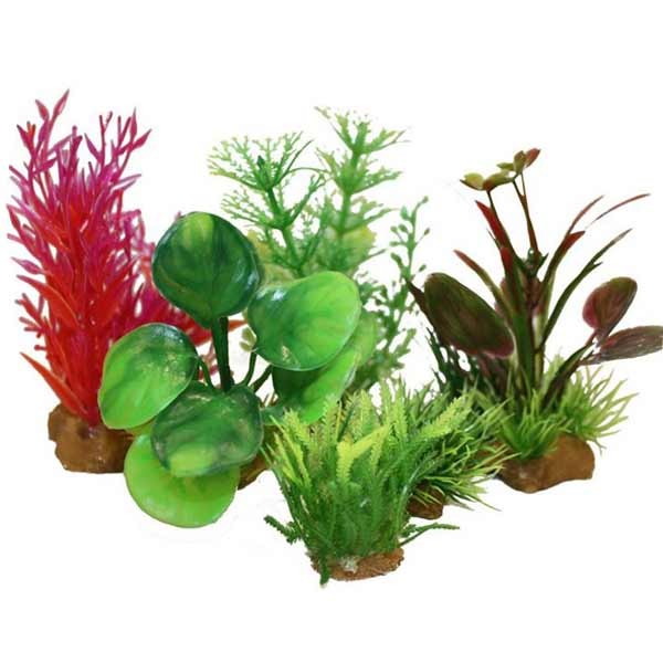 Hugo Kamishi Miniature Aquascaping Aquarium Plant Tub 6 (6 Pack)