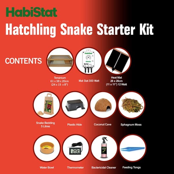 HabiStat Hatchling Snake Oak Starter Kit