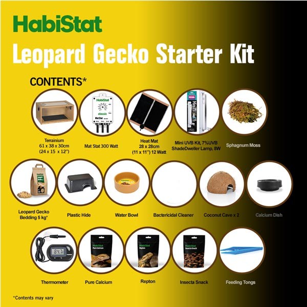 HabiStat Leopard Gecko Starter Kit Oak