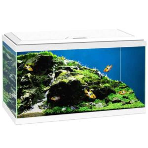 Ciano 60 White Aquarium LED