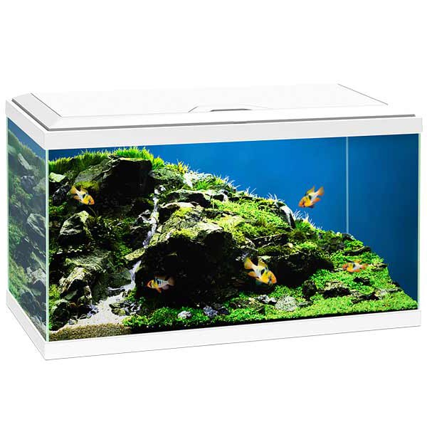 Ciano 60 White Aquarium LED