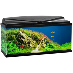 Ciano 80 Black Aquarium LED