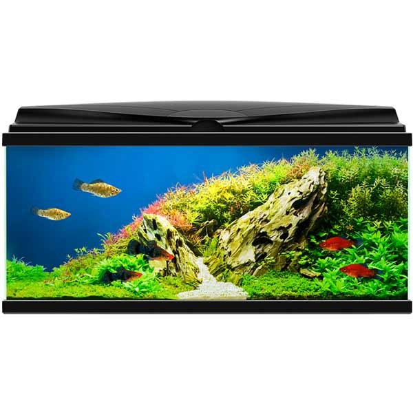 Ciano 80 Black Aquarium LED