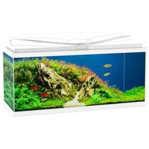 Ciano 80 White Aquarium LED