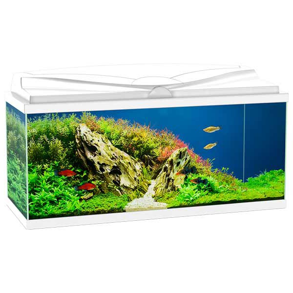 Ciano 80 White Aquarium LED