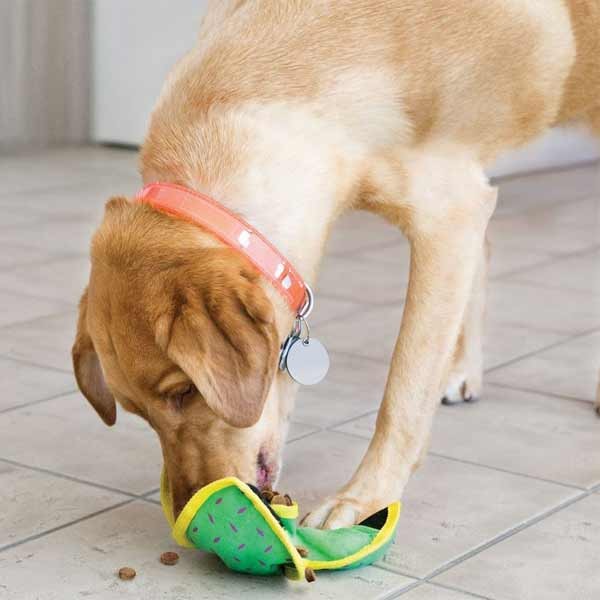 KONG Ballistic Hide 'n Treat Medium Dog Toy