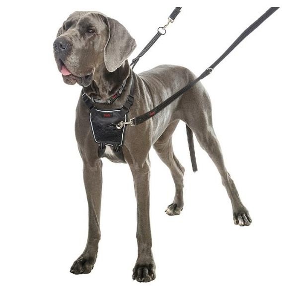 Halti No Pull Harness Small