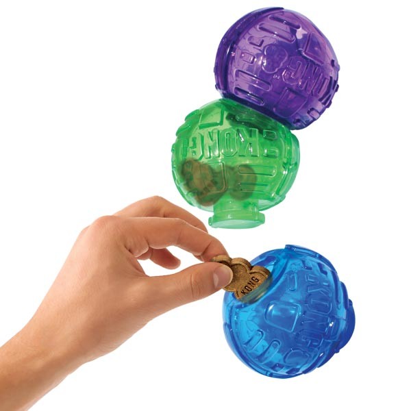 KONG Lock-It 2 Pack Large Dog Toy